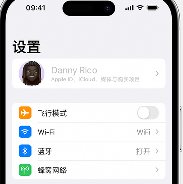 长征镇appleID维修服务iPhone设置中Apple ID显示为灰色无法使用 