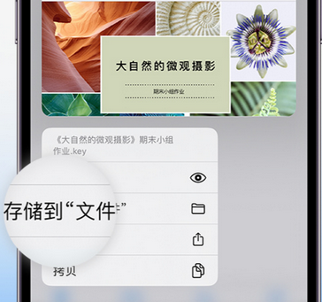 长征镇apple维修中心分享iPhone文件应用中存储和找到下载文件