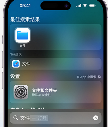 长征镇apple维修中心分享iPhone文件应用中存储和找到下载文件