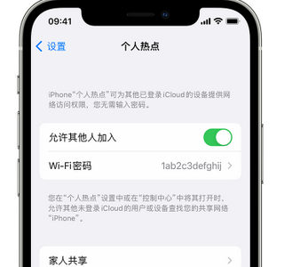 长征镇apple服务站点分享iPhone上个人热点丢失了怎么办 