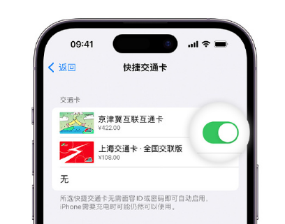 长征镇apple维修点分享iPhone上更换Apple Pay快捷交通卡手绘卡面 