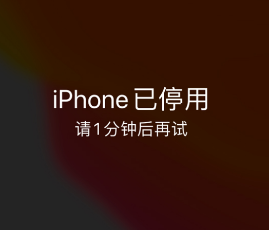 长征镇苹果手机维修分享:iPhone 显示“不可用”或“已停用”怎么办？还能保留数据吗？ 