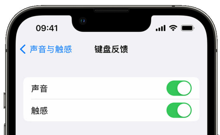 长征镇苹果手机维修分享iPhone 14触感键盘使用方法 