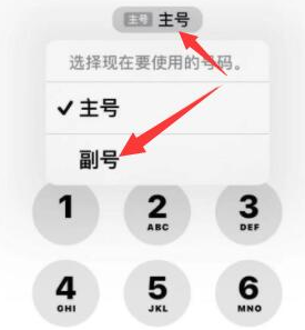 长征镇苹果14维修店分享iPhone 14 Pro Max使用副卡打电话的方法 