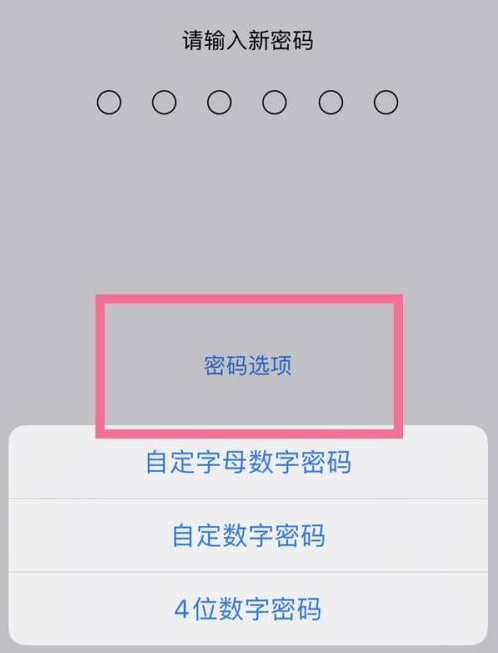 长征镇苹果14维修分享iPhone 14plus设置密码的方法 