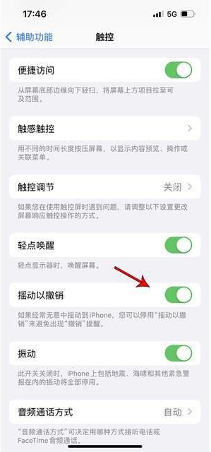 长征镇苹果手机维修分享iPhone手机如何设置摇一摇删除文字 